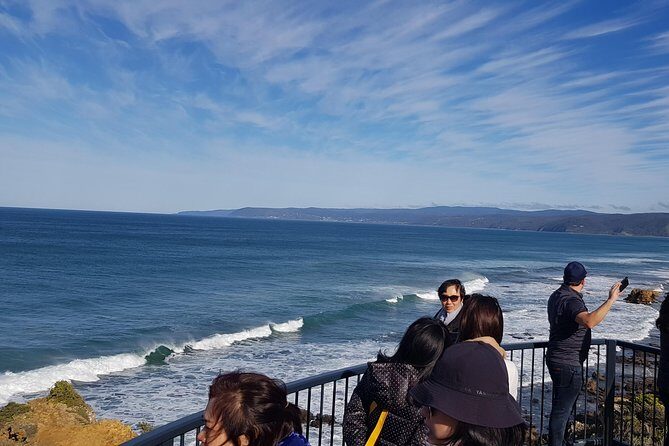 Private 12 Apostles Express Tour - Shorter - An In-Depth Look at the Tour Experience