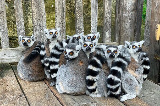 Private 14-Day Classic Route Tour in Madagascar - Starting from Antananarivo: The Gateway to Madagascar