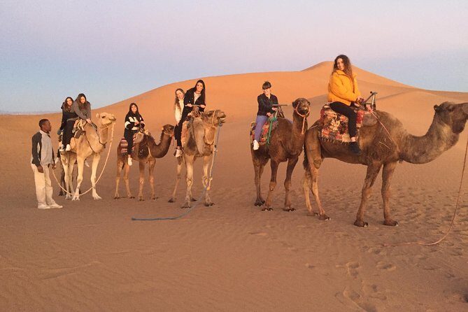 Private 2-day desert tour from Marrakech to Zagora - Why This Tour Is Worth Considering