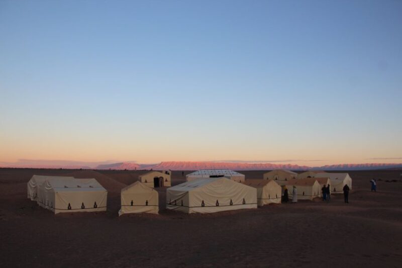 Private 2-Day Desert Trip with Camping & Camel Trekking - An In-Depth Look at the Tour Experience