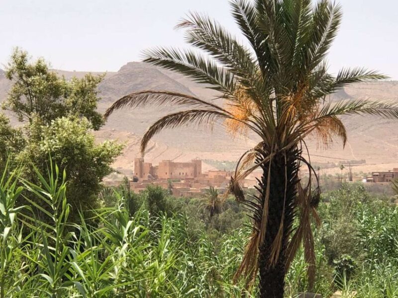 Private 2-Day Desert Trip with Camping & Camel Trekking - Authenticity and Value: What the Tour Offers