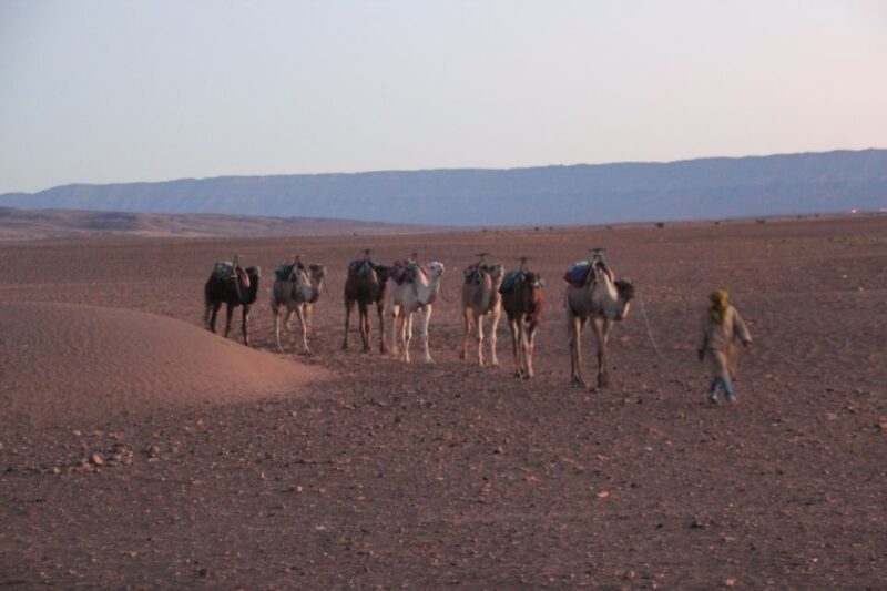 Private 2-Day Desert Trip with Camping & Camel Trekking - Final Thoughts: Is This Tour Worth It?