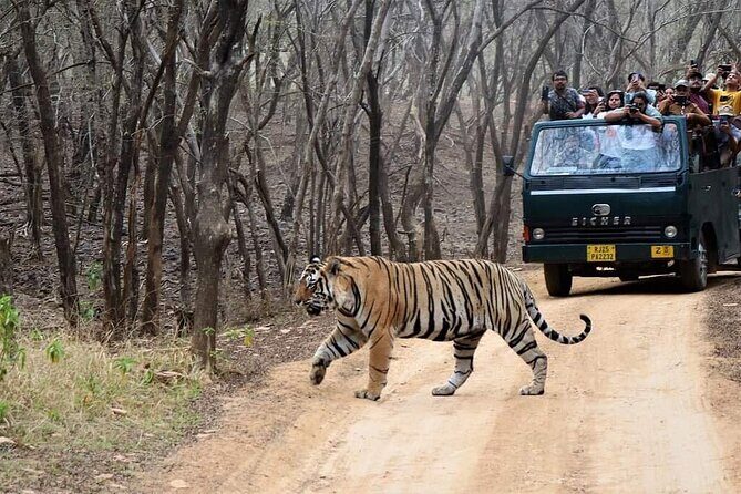 Private 2-Day Jaipur Tour with Ranthambore Safari - Frequently Asked Questions