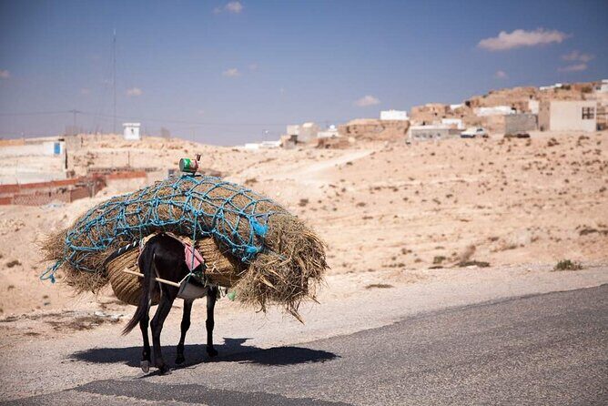 PRIVATE 2 day SAFARI (Ksar Ghilane and Atlas Mountains) from Jerba - Final Thoughts