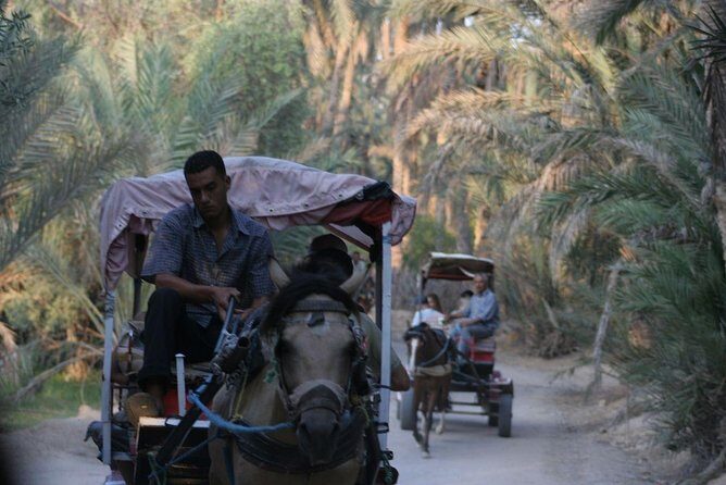 PRIVATE 2 day SAFARI (Ksar Ghilane and Atlas Mountains) from Jerba - Frequently Asked Questions