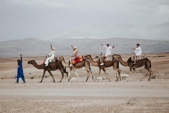 Private 2 Day Tour Casablanca to Marrakech with night in Desert - An In-Depth Look at the 2-Day Moroccan Adventure