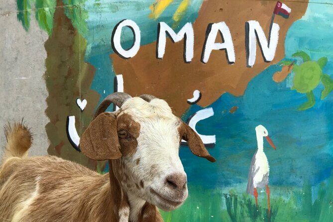 Private 2 Day Wadi Shab and Bimmah Sinkhole Tour - The Sum Up