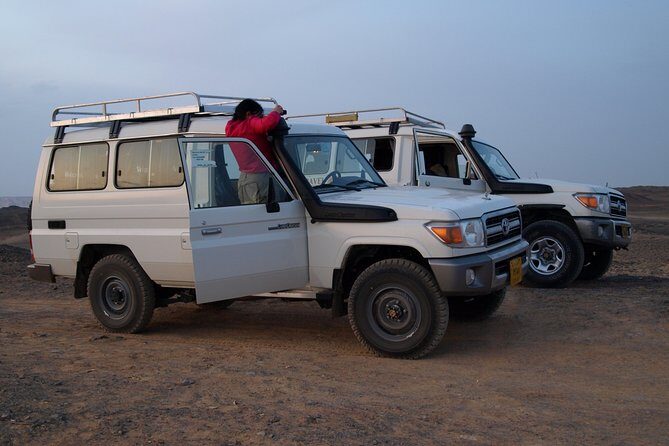 Private 2-Day White Desert and Bahariya Oasis Trip from Cairo - Who Should Consider This Tour?