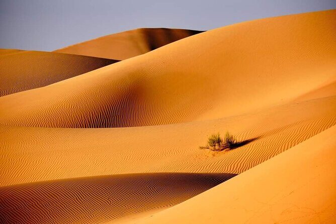 Private 2 Days 1 Night Wahiba Sands Desert and Wadi Bani Khalid Tour - Final Thoughts: Who Is This Tour For?