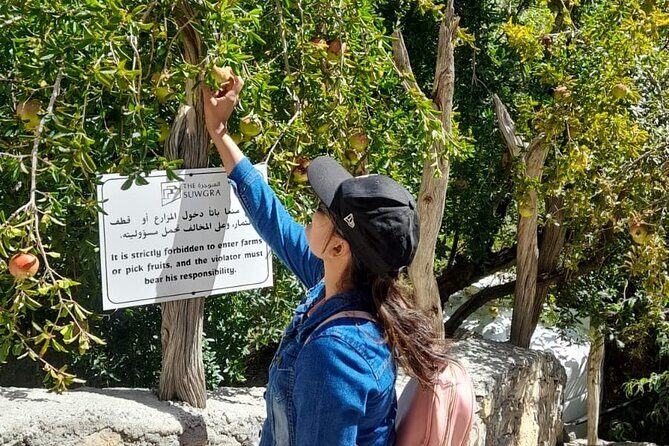 Private 2 - Days Jebel Akhdar Overnight Camping Tours - Key Points