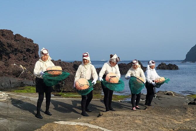 Private 2-days tour in jeju island - East/West/South of Jeju - Key Points