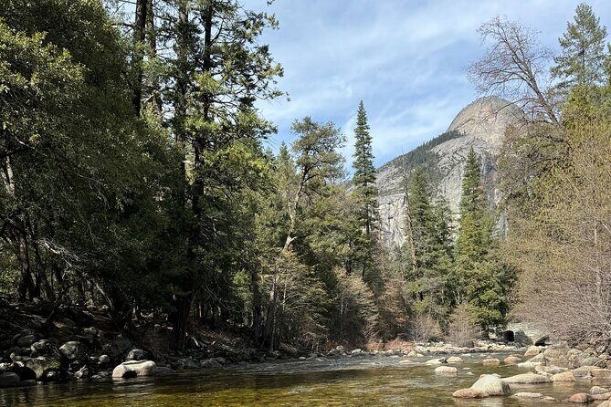 Private 2 Days Tour to Yosemite National Park - Introduction: An Insiders Look at a Yosemite Private Tour