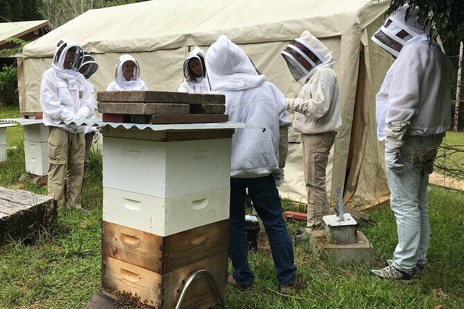 Private 2-Hour Beekeeping Classroom Tour in Honokaa - A Genuine Look at the Beekeeper Experience