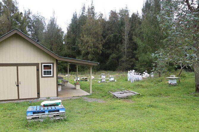 Private 2-Hour Beekeeping Classroom Tour in Honokaa - Visiting Rescued Farm Animals
