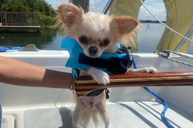 Private 2-Hour Day Sailing Experience - Why This Tour Is Worth Considering