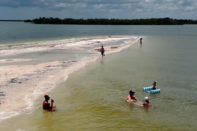 Private 2 Hour Dolphin & Eco Tour Marco Island, FL - The Sum Up: Who Should Consider This Tour?