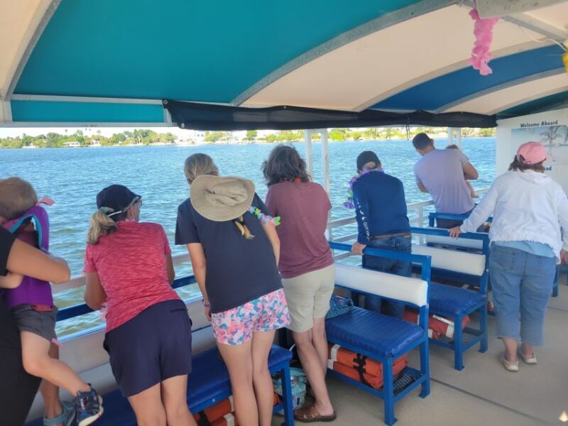 Private 2 hour Dolphin Sightseeing tour- Melbourne - The Sum Up
