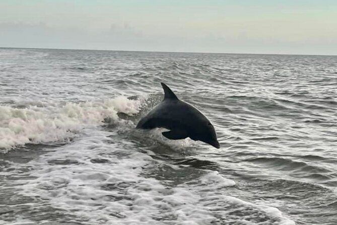 Private 2 Hour Sunset Cruise Marco Island, FL - Who This Experience Is Perfect For