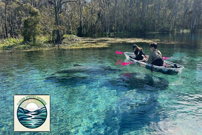 Private 2Hour Clear Kayak/ROC Paddle Board Rental on Silver River - Exploring Silver River: The Heart of the Experience