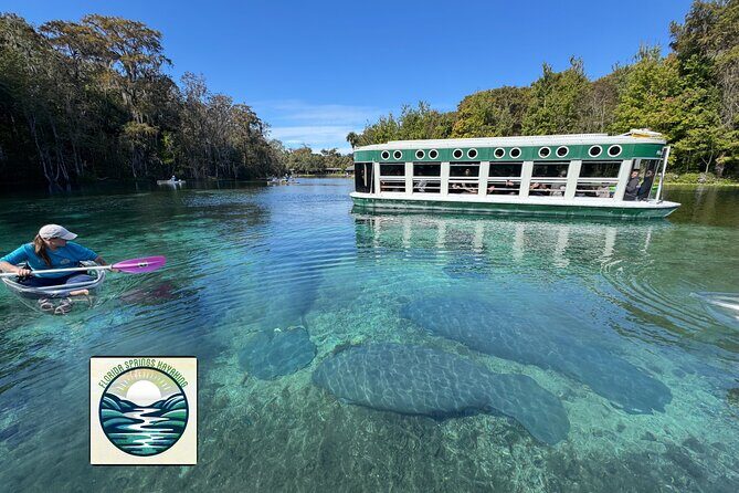 Private 2Hour Clear Kayak/ROC Paddle Board Rental on Silver River - The Experience: What You Might Encounter