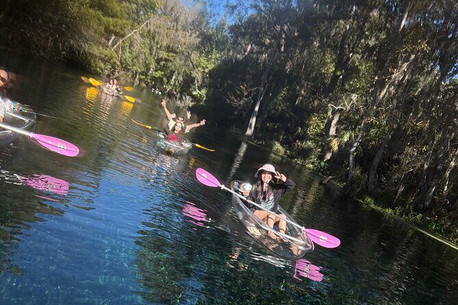 Private 2Hour Clear Kayak/ROC Paddle Board Rental on Silver River - Final Thoughts: Is This Tour Worth It?