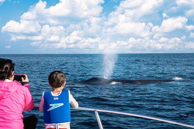 Private 2hr Supreme Whale/Dolphin Watching Tour, Newport Beach CA - Frequently Asked Questions