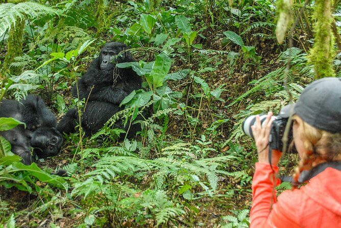 Private 3 Day Gorilla Trekking Safari in Uganda - The Cultural Experience