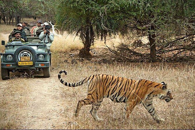 Private 3-Day Ranthambhore Tiger Tour from Agra ending in Jaipur - Understanding the Value: What’s Included and What’s Not