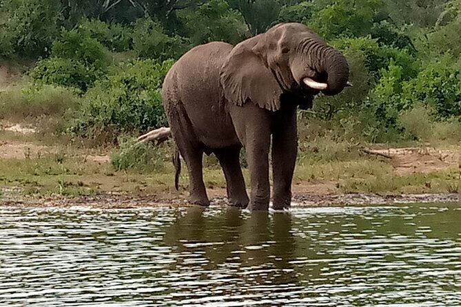 Private 3-Day Tour in Queen Elizabeth Park Safari - Introduction: A Closer Look at the Queen Elizabeth Safari