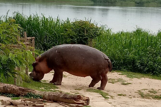 Private 3-Day Tour in Queen Elizabeth Park Safari - Pricing and Value Analysis