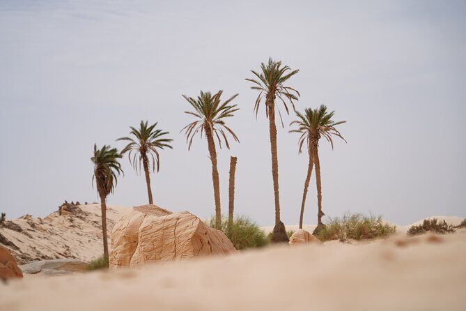 Private 3 Day Tour in Southern Tunisia or More - FAQ
