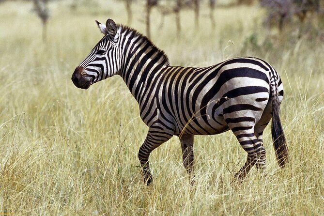 Private 3 Day Tour to Serengeti National Park - Key Points
