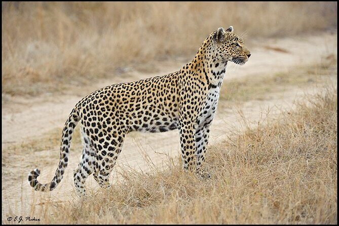 Private 3 Day Tour to Serengeti National Park - An In-Depth Look at the 3-Day Serengeti Safari