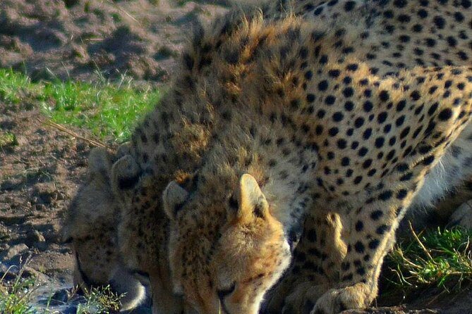 Private 3 Day Tsavo East Safari from Mombasa - An Introduction to the Tsavo East Safari Experience
