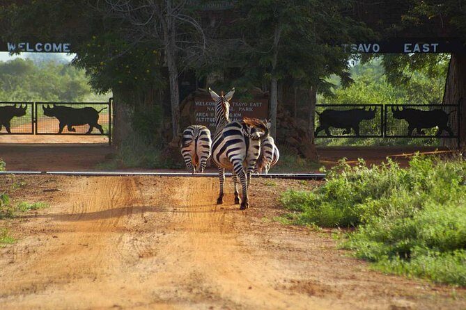 Private 3 Day Tsavo East Safari from Mombasa - Inside the Experience: What Makes It Special