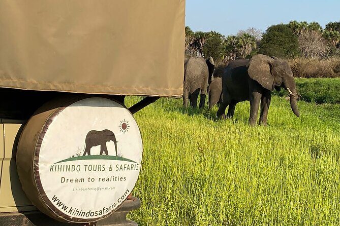 Private 3 Days 2 Nights Mikumi Adventures - Who This Tour Is Best For