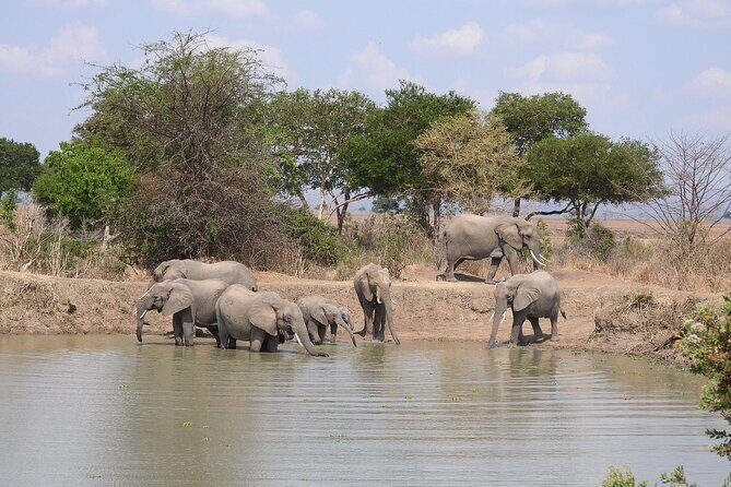 Private 3 Days 2 Nights Mikumi Adventures - FAQs