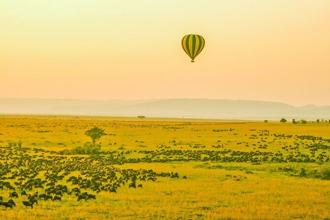 Private 3 Days Astounding Masai Mara Migration Safari. - The Itinerary: A Closer Look