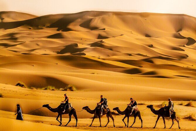 Private 3 Days Desert Exploration Trip from Errachidia - How This Tour Works and Why It’s Worth Considering