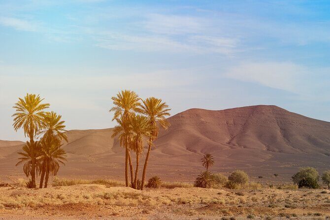 Private 3 Days Desert Exploration Trip from Errachidia - Day 2: From Erfoud to the Sahara Dunes