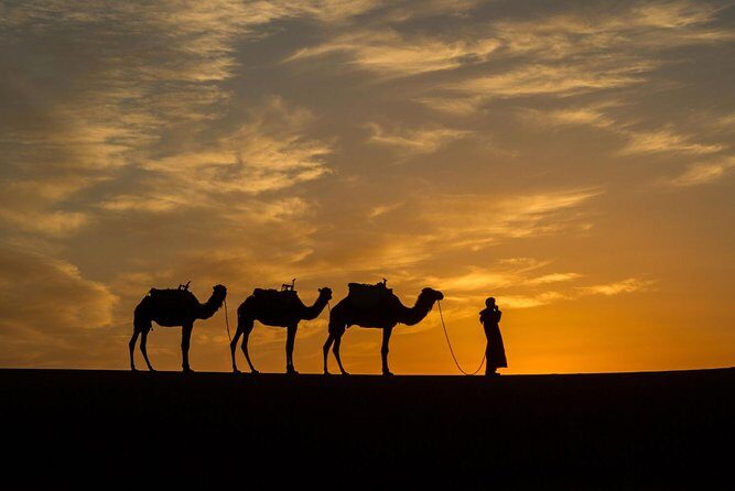 Private 3-days Desert tour from Zagora to Erg chigaga Dunes & Camel trek - Who Should Consider This Tour?