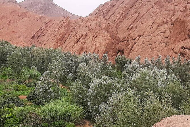 private 3 days Fes to Marrakech desert tour - References