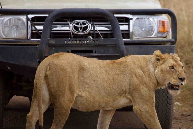 Private 3-Days of wildlife Safari exploring Uganda - Authentic Encounters and Unique Moments
