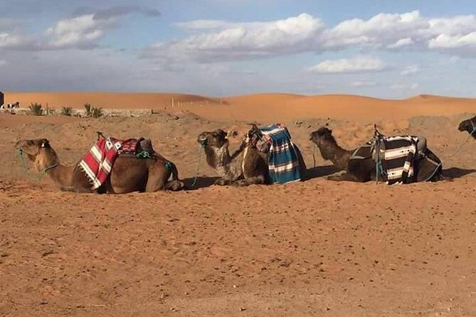 Private 3 Days Tour from Marrakech to Merzouga - Day Three: Back to the Cultural Heartlands