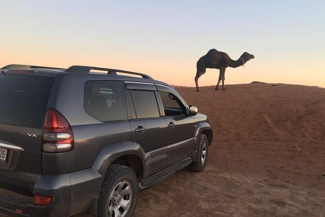 Private 3 Days Tour from Marrakech to Merzouga - Final Thoughts