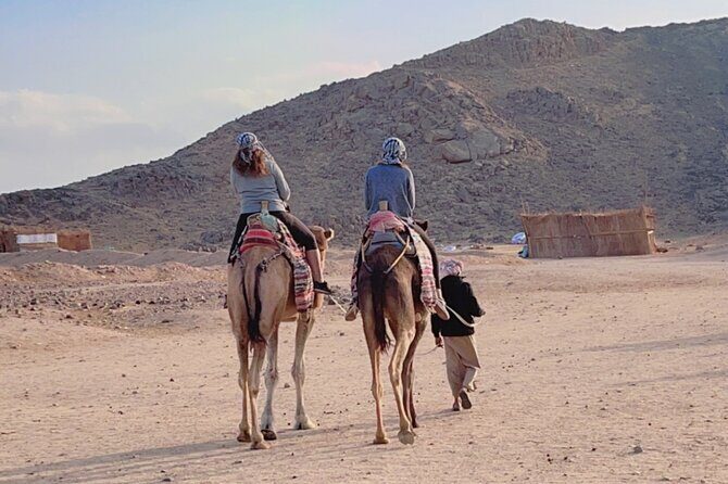 PRIVATE! 3-Hour or 5-Hour Quad Safari Tour to Sahara Desert - An In-Depth Look at the Quad Safari Tour