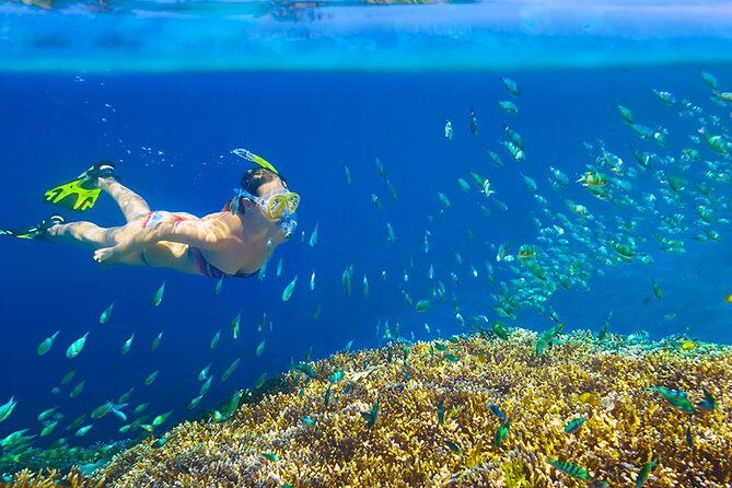 Private 3-Hour Snorkeling Tour with Arch Tour and Beach Time - Practical Details: What You Need to Know