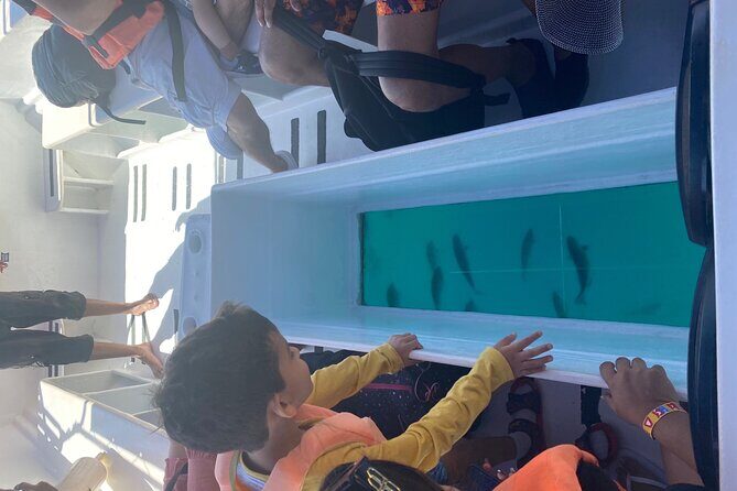 Private 3-Hour Snorkeling Tour with Arch Tour and Beach Time - Who Will Love This Tour?