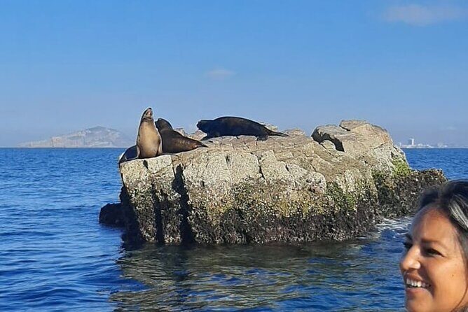 Private 3-hour Whale Watching Activity in Mazatlan - Authentic Experiences and Real Traveler Feedback