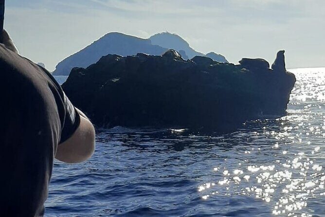 Private 3-hour Whale Watching Activity in Mazatlan - Who Should Consider This Tour?